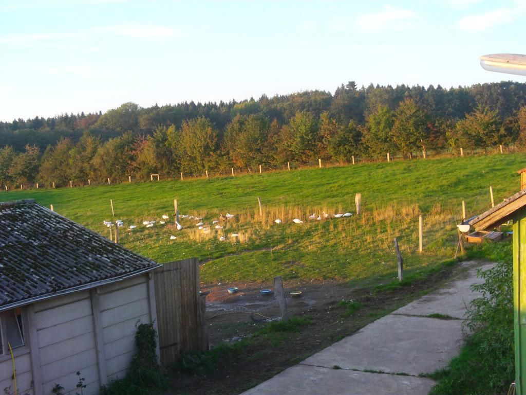 Apartamento Hof Beuck Travenhorst Exterior foto
